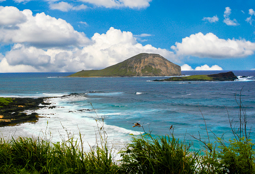 It's a rare day that Makapuu Beach Park's bodyboarders and bodysurfers aren't present to enjoy the cliff-surrounded beach. Moreover, Makapuu Point, is the easternmost point of Oahu.
