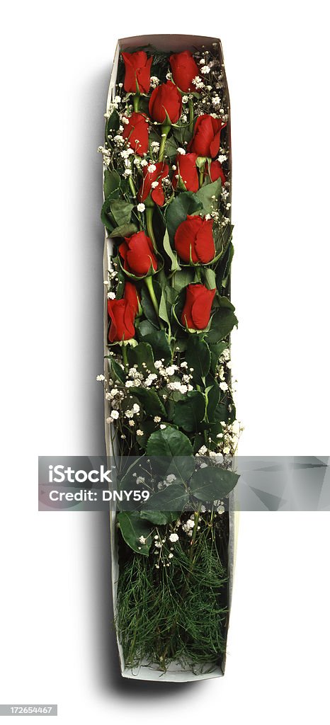 Red roses "Red roses in box on white background.To see more Valentine's Day images, click on the link below:" Anniversary Stock Photo