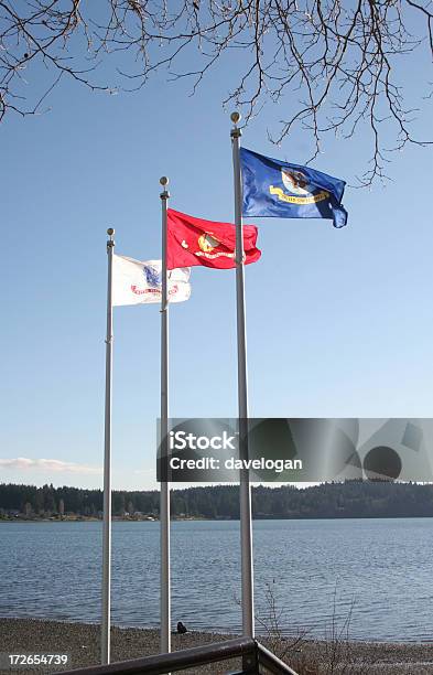Bandeiras Dos Serviços Armados Dos Estados Unidos - Fotografias de stock e mais imagens de Bandeira - Bandeira, Conceito, Exército