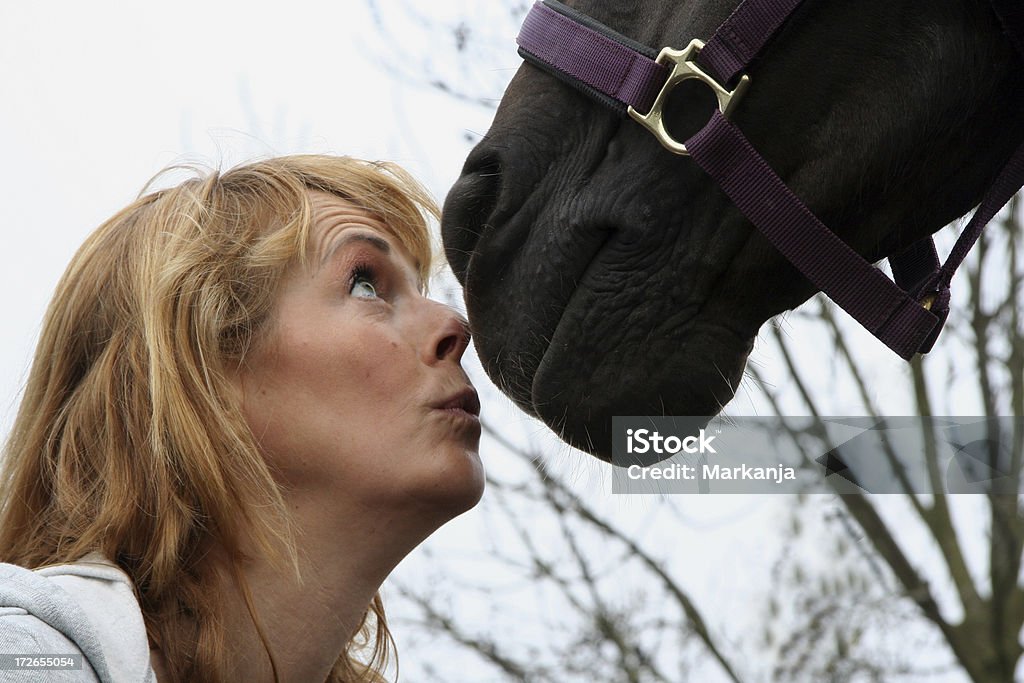 Amare il suo cavallo 6 - Foto stock royalty-free di Animale