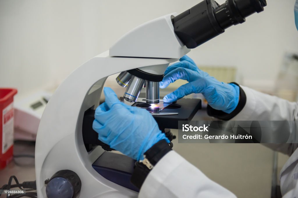 Lab Sample Identification Samples In The Laboratory Stock Photo - Download Image Now - Adult ...