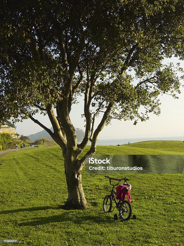 Kółka boczne podporowe na rower w pobliżu piękny Tree - Zbiór zdjęć royalty-free (Aktywny tryb życia)