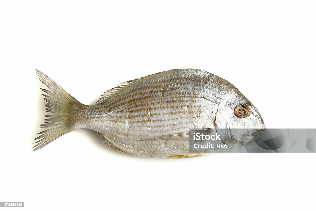 Peixe - Foto de stock de Animal royalty-free