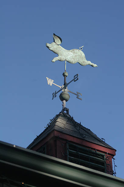 istock Pigs Can Fly Weather Vane 172655641