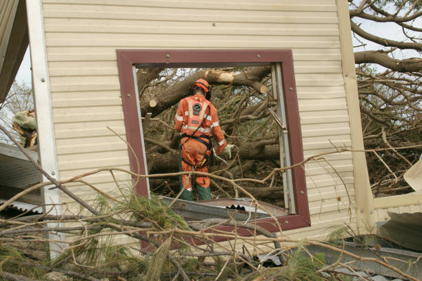 reparación de emergencia - tree removing house damaged fotografías e imágenes de stock