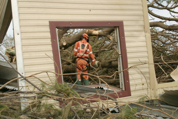 ripristino di emergenza - tree removing house damaged foto e immagini stock