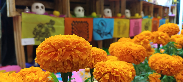Cempasuchil flowers in the foreground with a Day of the Dead offering in the background and out of focus