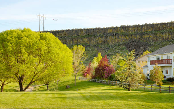 istock Nice neighborhood 3 172655881