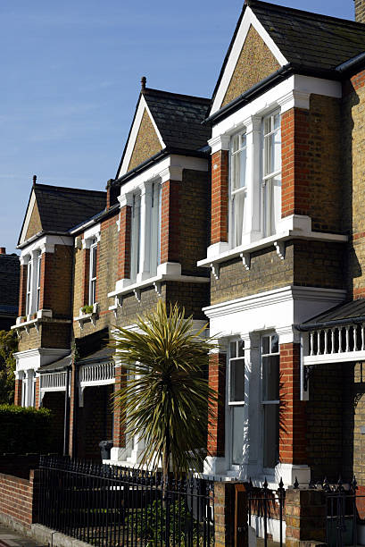 istock London Terraced Houses with Palm Tree 172655932