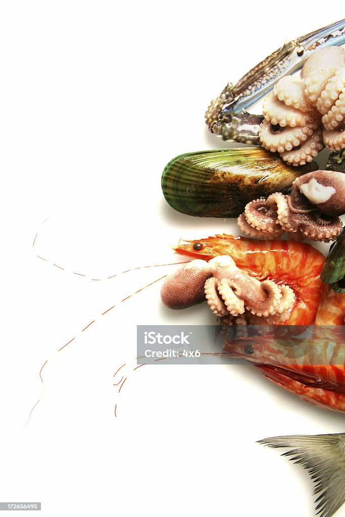 Surtido de pescados y mariscos - Foto de stock de Fondo blanco libre de derechos