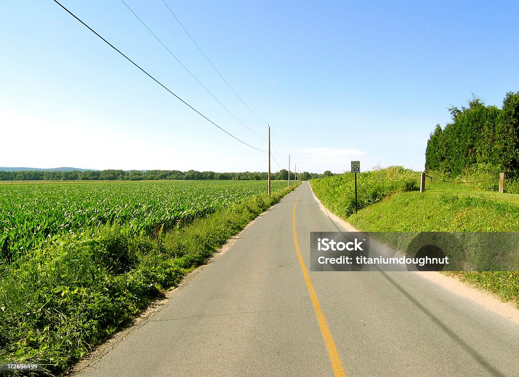 Farm Road - Lizenzfrei Agrarbetrieb Stock-Foto