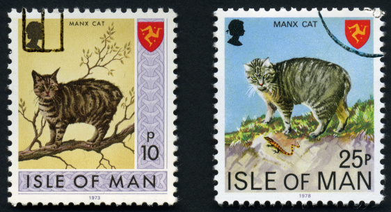 Two Isle of Man postage stamps issued in 1973 and 1978 each depicting their indigenous Manx tailless cat.