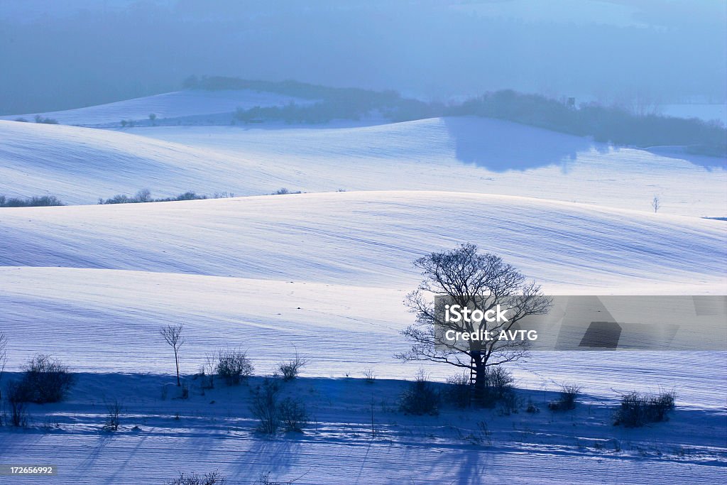 Paisaje blanco - Foto de stock de Aire libre libre de derechos