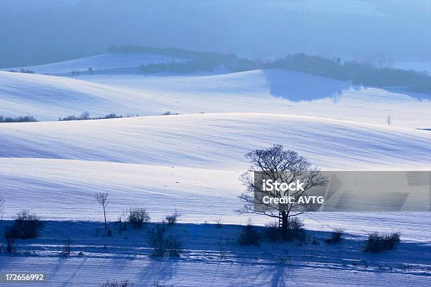 Paisaje Blanco Foto de stock y más banco de imágenes de Aire libre - Aire libre, Aislado, Aventura