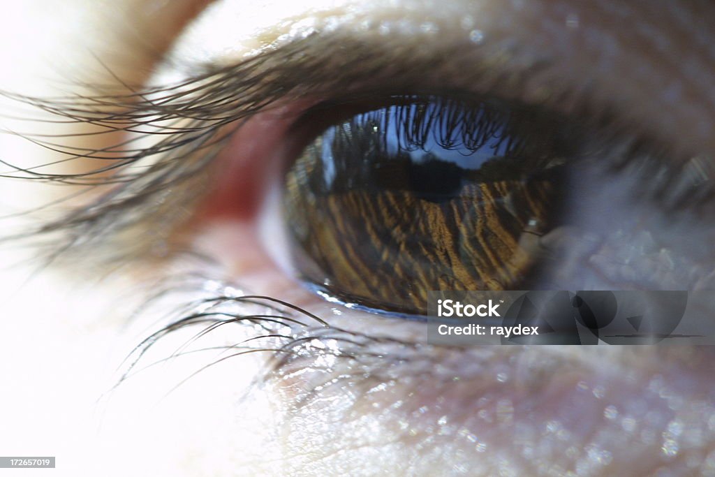 eye01 - Foto de stock de Cara humana libre de derechos