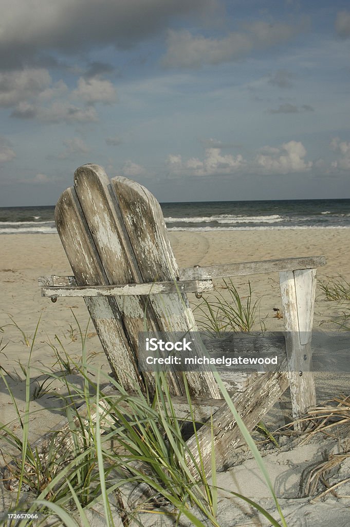 La plage Vertical - Photo de Avoine cultivée libre de droits