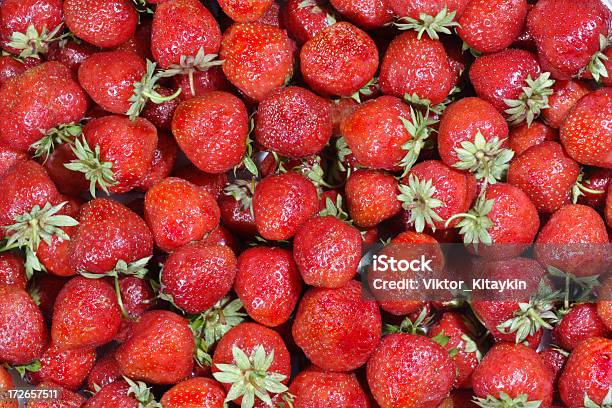 Fresas Foto de stock y más banco de imágenes de Abundancia - Abundancia, Agricultura, Alimento
