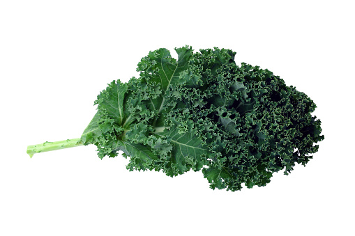 A bunch of green kale on a white background