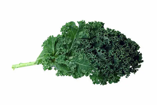 Photo of A bunch of green kale on a white background