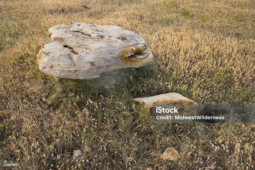 Ядовитый гриб формы Рок - Стоковые фото Без людей роялти-фри