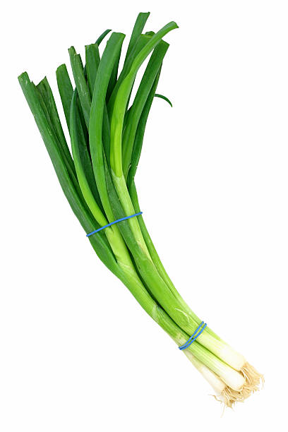 green onions stock photo