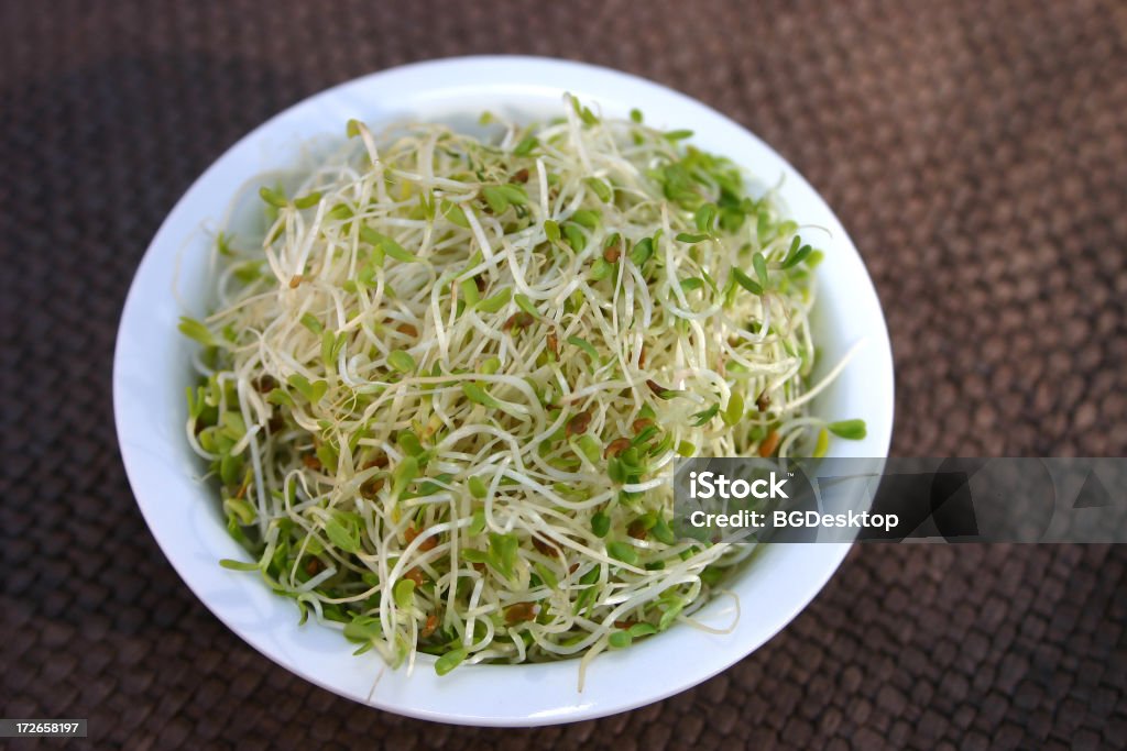 Alfalfa Sprouts A small white dish of alfalfa sprouts Alfalfa Stock Photo