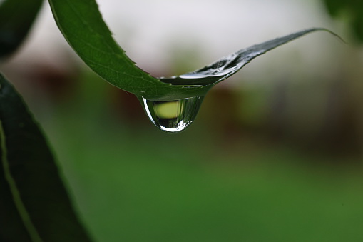 Macro oil and water multi colored abstract background