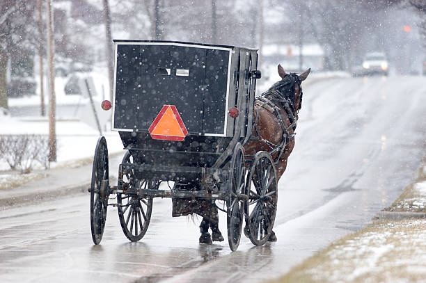 istock Winter travel in Amish country 172658377