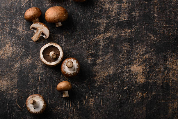 istock Raw champignon mushrooms on black background 1726596713