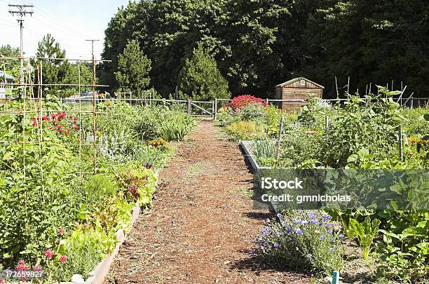 Community Garden Stockfoto und mehr Bilder von In einer Reihe - In einer Reihe, Urbaner Garten, Gemeinschaft