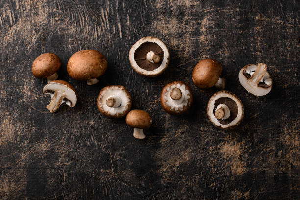 istock Raw champignon mushrooms on black background 1726598676