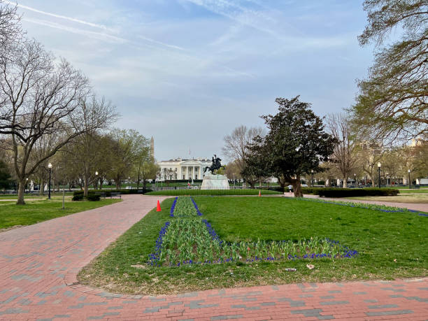 백악관과 화단 / 북쪽 라파예트 광장에서 겨울 - white house president of the usa lafayette square eastern usa 뉴스 사진 이미지