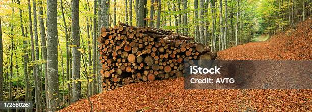 Haufen Holz Stockfoto und mehr Bilder von Abgeschiedenheit - Abgeschiedenheit, Ast - Pflanzenbestandteil, Bauholz