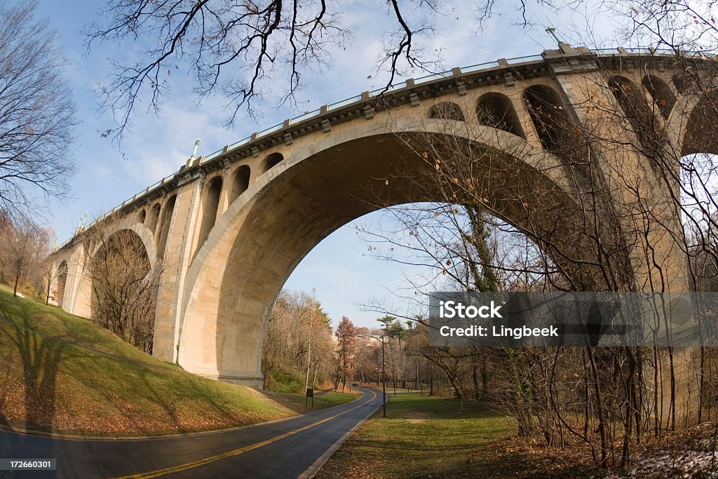 Taft Ponte - Foto stock royalty-free di William Howard Taft