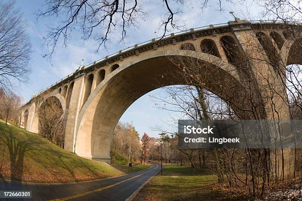 Taft Ponte - Fotografie stock e altre immagini di William Howard Taft - William Howard Taft, Albero, Ambientazione esterna