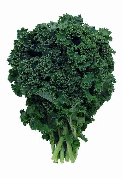 Fresh dark green kale. Kale is a kind of cabbage that's often used as a decorative garnish, but if cooked it can also be a very nutritious side dish. Isolated on white.