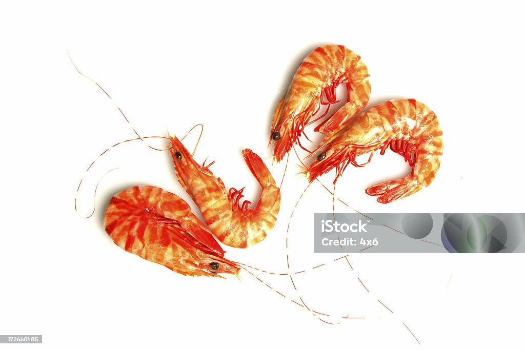 Vier shrimps - Lizenzfrei Fische und Meeresfrüchte Stock-Foto
