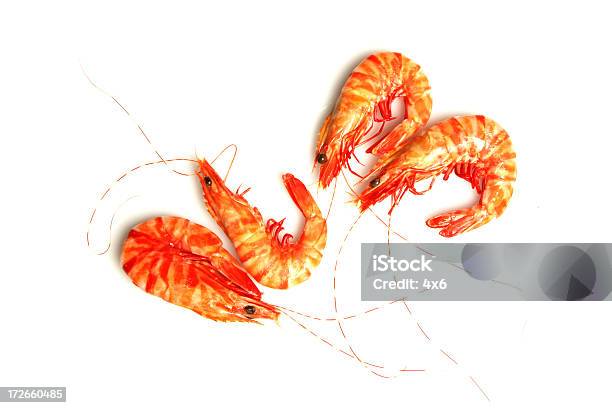 Vier Shrimps Stockfoto und mehr Bilder von Fische und Meeresfrüchte - Fische und Meeresfrüchte, Fotografie, Freisteller – Neutraler Hintergrund