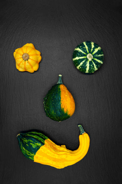 istock Decorative pumpkins on a black background. 1726605671