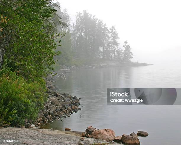 Photo libre de droit de Misty Matin banque d'images et plus d'images libres de droit de Arbre - Arbre, Bateau à voile, Brouillard