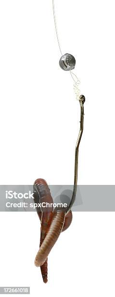 Fishing Hook With Bait Stock Photo - Download Image Now - Animal, Close-up, Cut Out