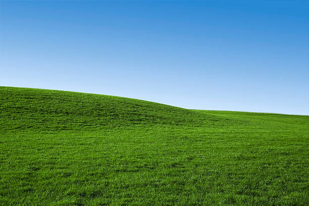 Céu azul e verde grama (fundo - fotografia de stock