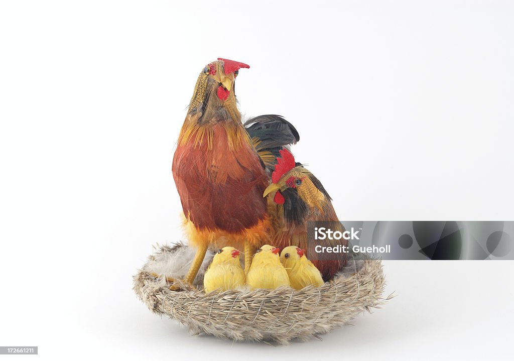 Pareja de aves con pollo - Foto de stock de Animal libre de derechos