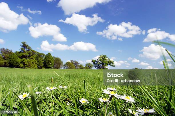 Brillante Día Foto de stock y más banco de imágenes de Aire libre - Aire libre, Arreglo, Azul