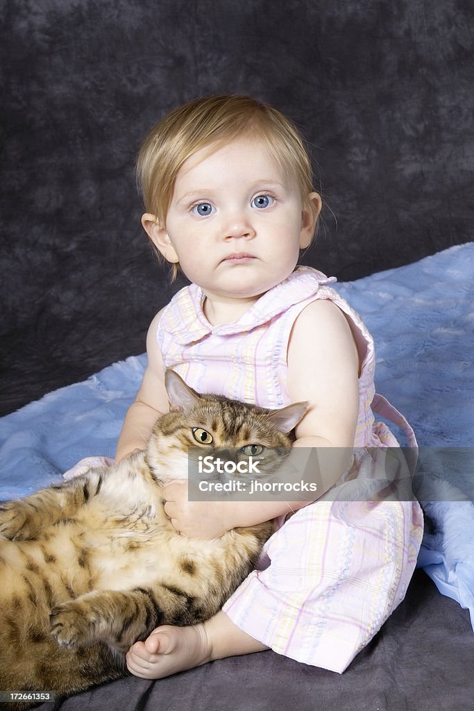 Lo que usted Lookin'en?! - Foto de stock de Gato doméstico libre de derechos