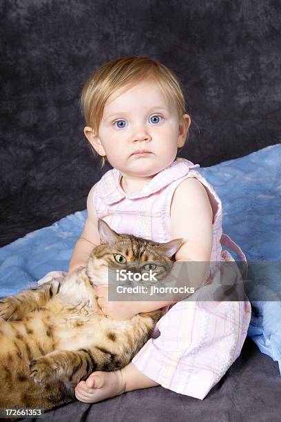 Lo Que Usted Lookinen Foto de stock y más banco de imágenes de Gato doméstico - Gato doméstico, Violencia, Abrazar