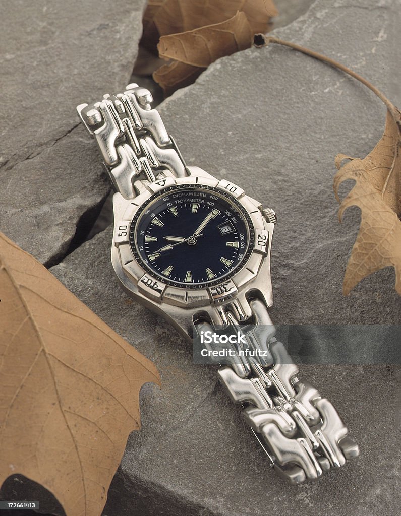 Beautiful Watch A man's silver watch sitting on stone with leaves next to it. Adult Stock Photo