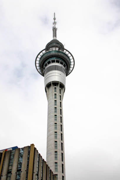istock Sky Tower, Auckland, New Zealand 172661430