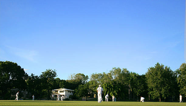 howzat! - sport of cricket village cricket player english culture foto e immagini stock