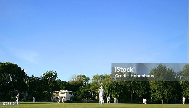 Howzat - Fotografias de stock e mais imagens de Equipa de críquete - Equipa de críquete, Críquete, Comunidade